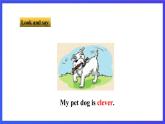 牛津译林版英语七下Unit8 Pets 第三课时 Grammar 课件+教案+练习