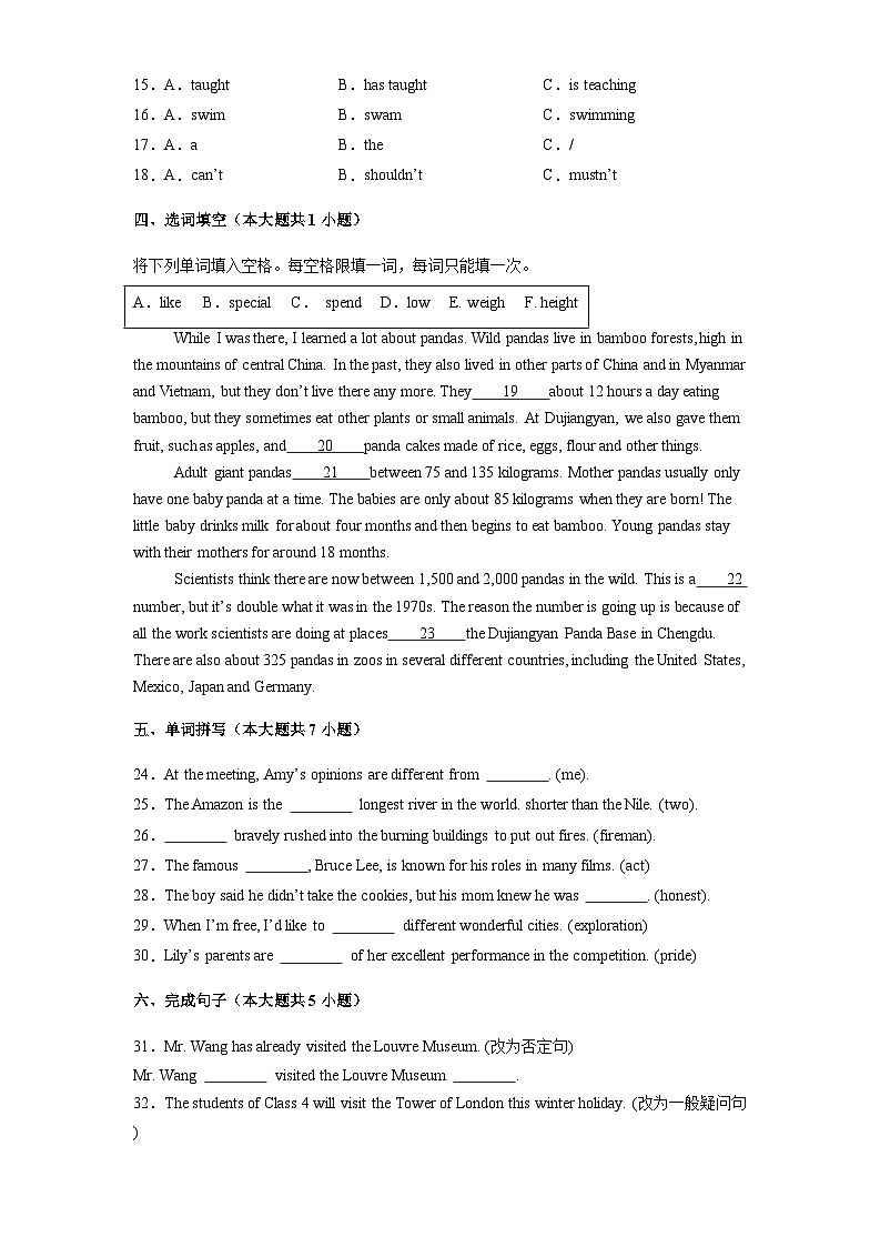上海市闵行区2024-2025学年七年级上学期期末英语试题第2页