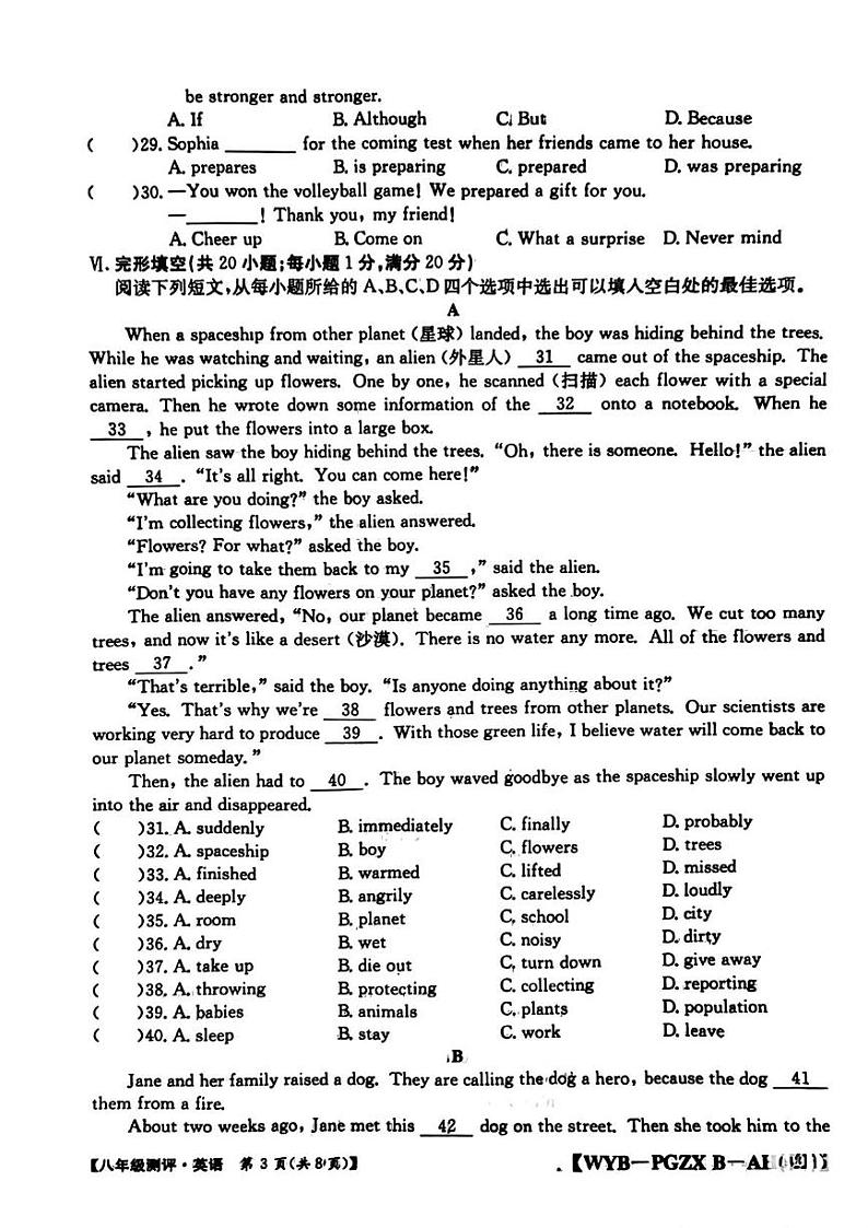 安徽省合肥市长丰县2024-2025学年八年级上学期期末考试英语试题第3页