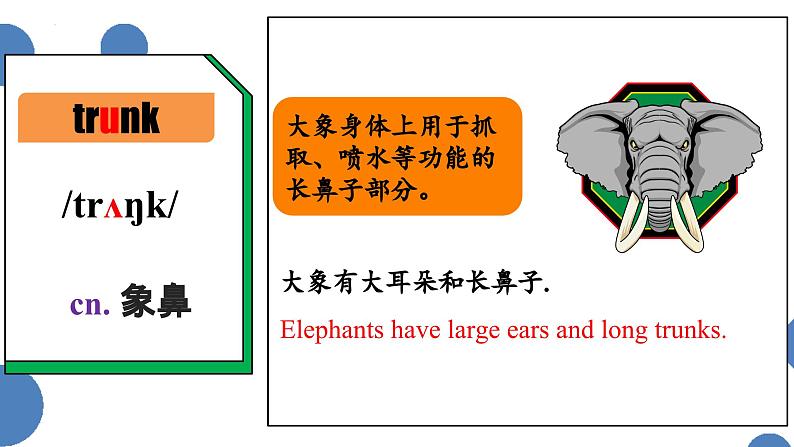 Unit1 Section B - 2024-2025学年初中英语七年级下册 同步词汇课件（人教版2024）第8页