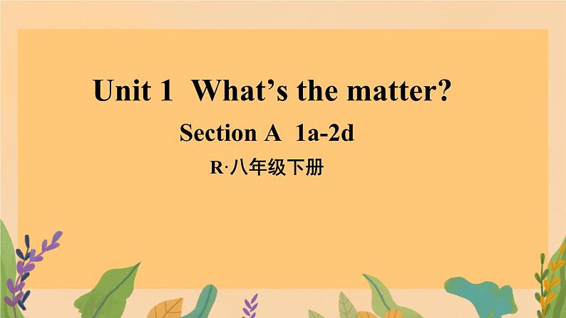 Unit 1 What’s the matter？Section A  1a-2d（课件）人教版英语八年级下册第1页