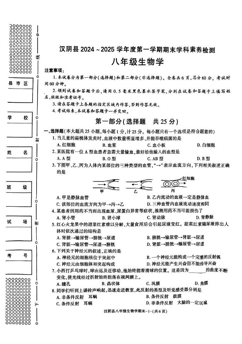 河南省新乡市辉县市2024-2025学年九年级上学期期末考试英语试卷第1页