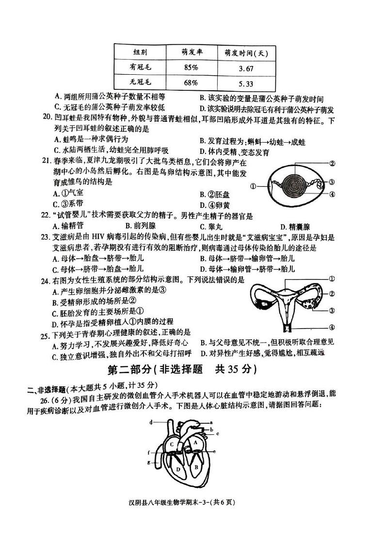 河南省新乡市辉县市2024-2025学年九年级上学期期末考试英语试卷第3页