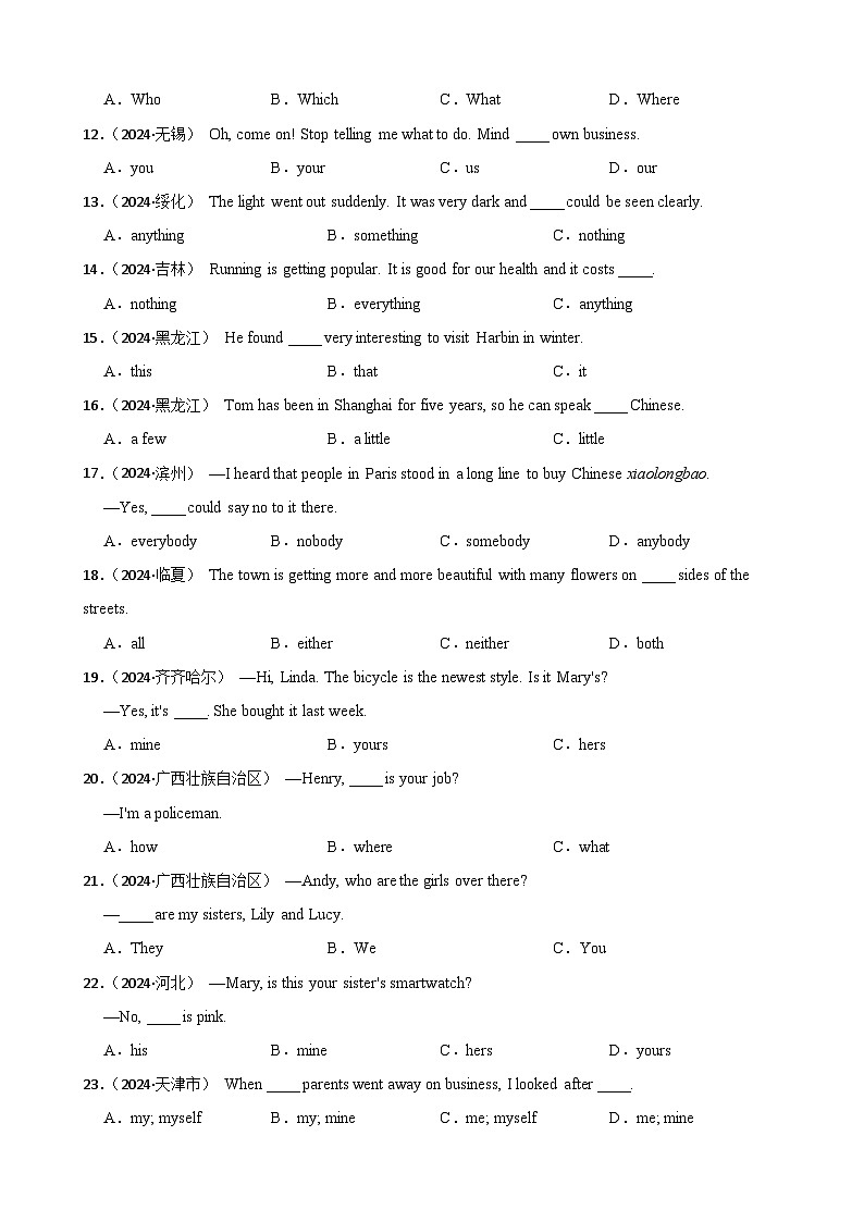 专题18 代词（含答案+解析）—2025中考英语语法分类冲刺强化 [中考真题+名校模拟]第2页
