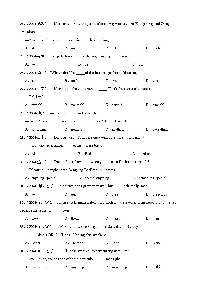 专题18 代词（含答案+解析）—2025中考英语语法分类冲刺强化 [中考真题+名校模拟]第3页