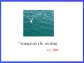 沪教牛津版（五四制）英语七下 Unit 9《The wind is blowing Stage 4 》课件