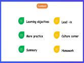 滬教牛津版（六三制）英語(yǔ)九下 Unit 2 《Culture shock 》第5課時(shí)More practice & Culture corner 課件+教案