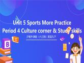 沪教牛津版（六三制）英语九下 Unit 5 《Sports 》第5课时More practice & Culture corner 课件+教案+素材