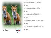 2025-2026學年人教版七年級下冊英語 Unit 1 Section A  Grammar Focus 課件