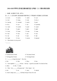 2024-2025学年江苏省无锡市新吴区七年级（上）期末英语试卷(含详细答案解析)