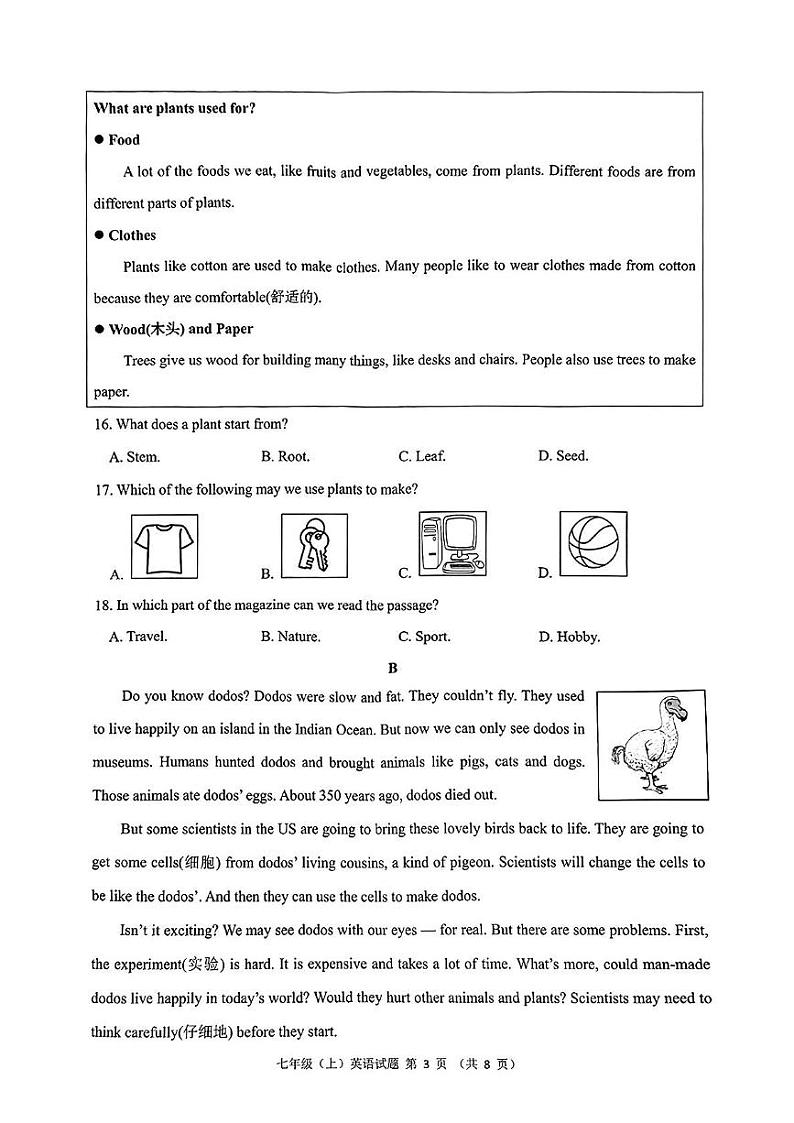 浙江省温州市乐清市2024-2025学年七年级上学期期末英语试题第3页