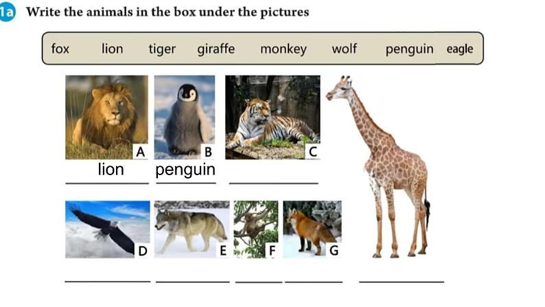 Unit 1   Animal Friends Section A 课件第4页