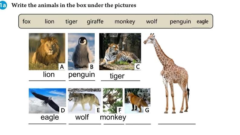 Unit 1   Animal Friends Section A 课件第8页