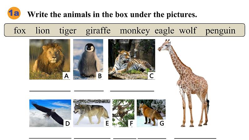 新人教版英语七年级下册 Unit1 Animal Friends Section A（1a-1d） 第一课时课件第8页