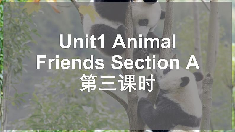 新人教版英语七年级下册Unit1 Animal Friends Section A （Grammar Focus） 第三课时课件第1页