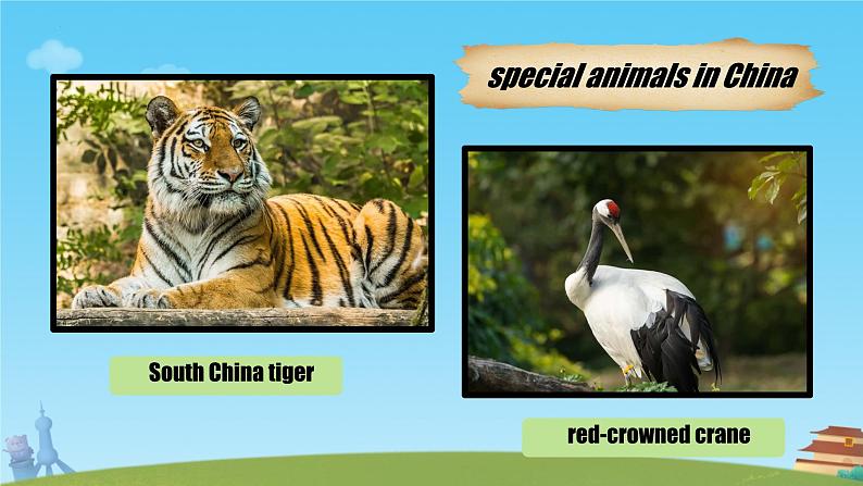 Unit 1 Animal Friends Section A 1a – Pronunciation &2a-2f（课件）人教版（2024）英语七年级下册第3页