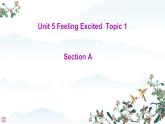 Unit  5  Topic 1 You look excited Section A（課件）仁愛科普版英語八年級下冊