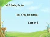 Unit  5  Topic 1 You look excited Section B（課件）仁愛科普版英語八年級下冊