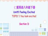 Unit  5  Topic 1 You look excited Section D（課件）仁愛科普版英語八年級下冊