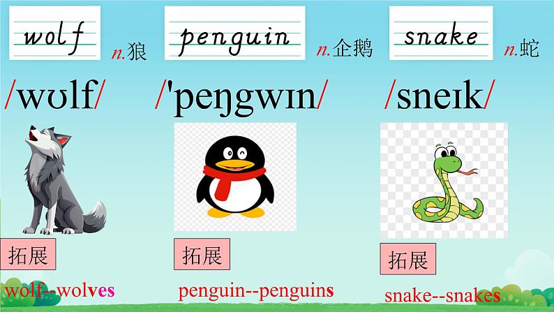 Unit 1  Animal Friends  Words（课件）人教版（2024）英语七年级下册第5页