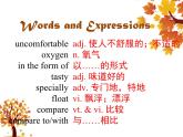 牛津譯林版初中英語 9B U4  Reading 1 課件