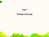 牛津译林版初中英语 9B U4  Welcome 课件