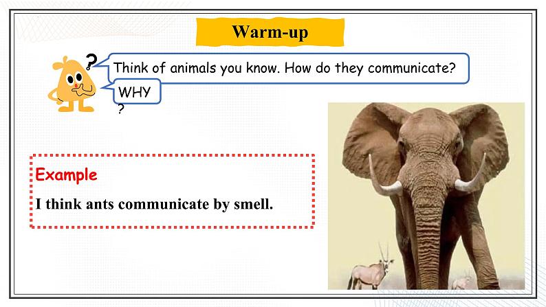 Unit 2 Communication  Lesson 4  Animal Talk （课件）- 2024-2025学年八年级英语下册（北师大版）第4页