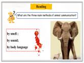 Unit 2 Communication  Lesson 4  Animal Talk （課件）- 2024-2025學年八年級英語下冊（北師大版）