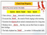 Unit 2 Communication Communication Workshop（課件）- 2024-2025學年八年級英語下冊（北師大版）
