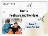 Unit 3 Festivals and Holidays Lesson 7 Chinese New Year（課件）- 2024-2025學(xué)年八年級(jí)英語(yǔ)下冊(cè)（北師大版）