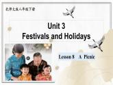 Unit 3 Festivals and Holidays Lesson 8  A Picnic（課件）- 2024-2025學(xué)年八年級(jí)英語下冊(cè)（北師大版）