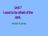 Unit7 Section A （3a-4c）課件 2024-2025學(xué)年八年級(jí)英語(yǔ)下冊(cè)
