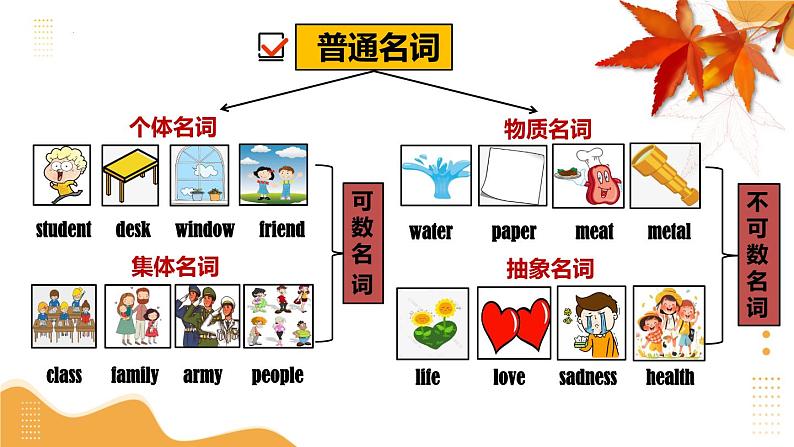 2025年中考英语一轮复习 第01讲 名词 课件第6页