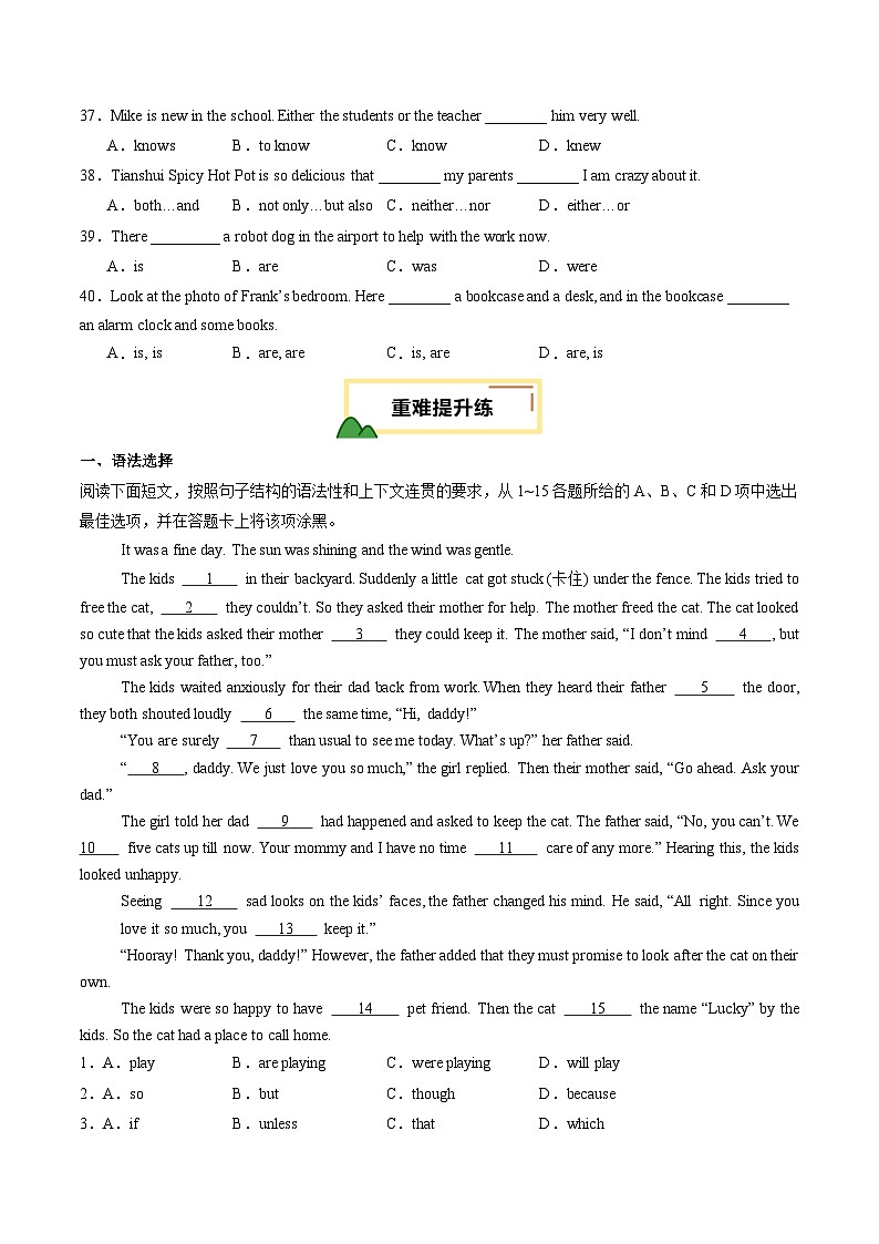 2025年中考英语一轮复习 第12讲 主谓一致（练习）（原卷版）第3页