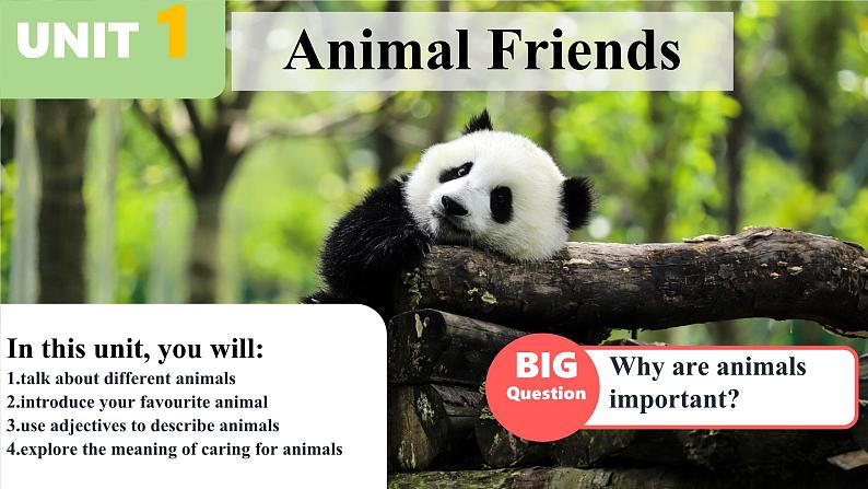 Unit 1 Animal Friends Section A Why are animals important（课件）人教版（2024）英语七年级下册第1页