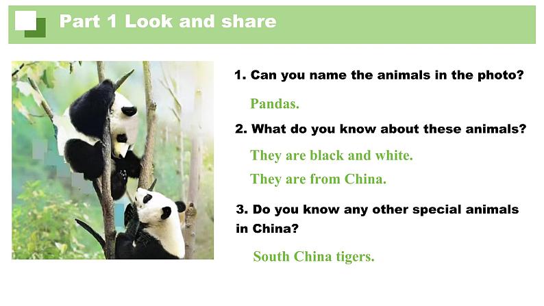 Unit 1 Animal Friends Section A Why are animals important（课件）人教版（2024）英语七年级下册第3页