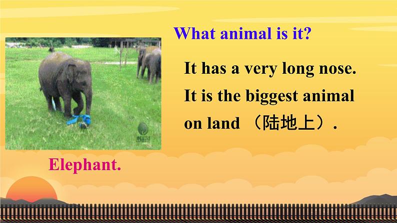 Unit 1 Animal Friends Section A （课件）人教版（2024）英语七年级下册第5页