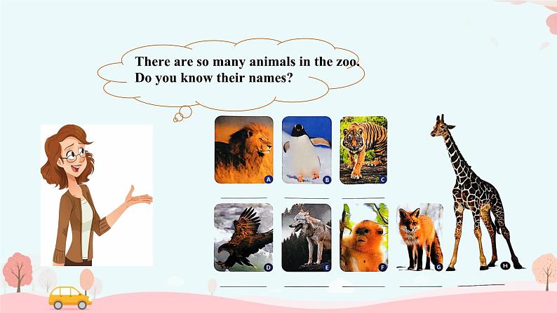 Unit 1 Animal Friends Section A 1a-1d+pronunciation （课件）人教版（2024）英语七年级下册第7页