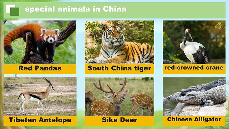 Unit 1 Animal Friends Section A 1a-1d Why do you like animals（课件）人教版（2024）英语七年级下册第4页