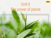 [優(yōu)質(zhì)閱讀寫作課課件】Unit6 power of plants Developing ideas reading for writing2024新外研七上英語(yǔ)