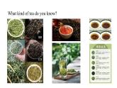 [優(yōu)質(zhì)閱讀寫作課課件】Unit6 power of plants Developing ideas reading for writing2024新外研七上英語(yǔ)