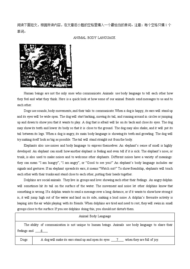 中考英语一轮复习题型训练第05讲 任务型阅读之阅读填表（练习）（原卷版）第2页