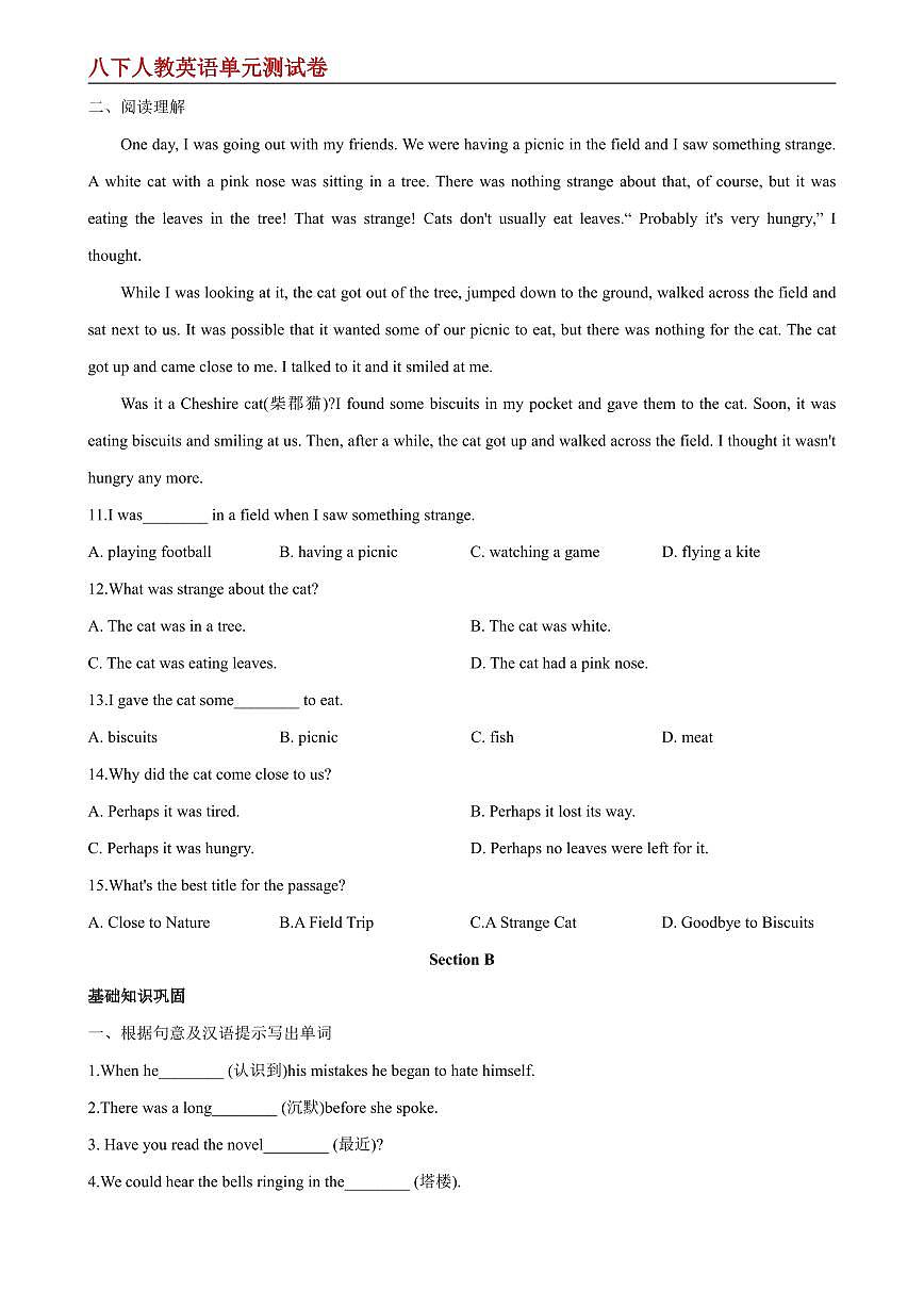 【八下人教英语】Unit 5 单元分层练+单元综合练 (原卷版)第3页