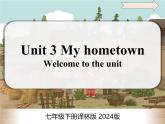 Unit 3 第1課時(shí) Welcome to the unit（同步課件）-2024-2025學(xué)年七年級(jí)英語(yǔ)下冊(cè)（譯林版2024）