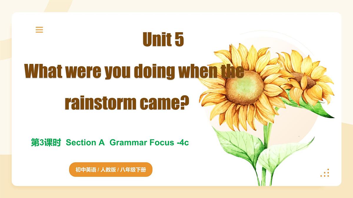 Unit 5 第3课时 Section A Grammar Focus-4c（同步课件）-2024-2025学年八年级英语下册（人教版2024）第1页