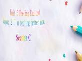 Unit 5 Feeling ExcitedTopic 2 Section C課件  仁愛版英語八年級下冊