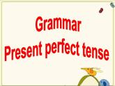牛津譯林版英語八年級下冊unit1 Grammar 課件