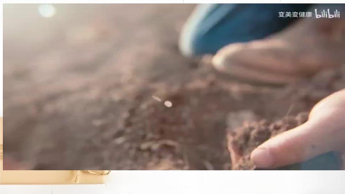 Unit 6 Lesson3 What is in the box（同步课件）2025学年七年级英语下册（冀教版2024）第5页