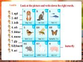 【核心素養(yǎng)優(yōu)質(zhì)課】譯林版英語七下Unit5 Animal friends第1課時Welcome to the unit課件+同步教學(xué)設(shè)計+音頻