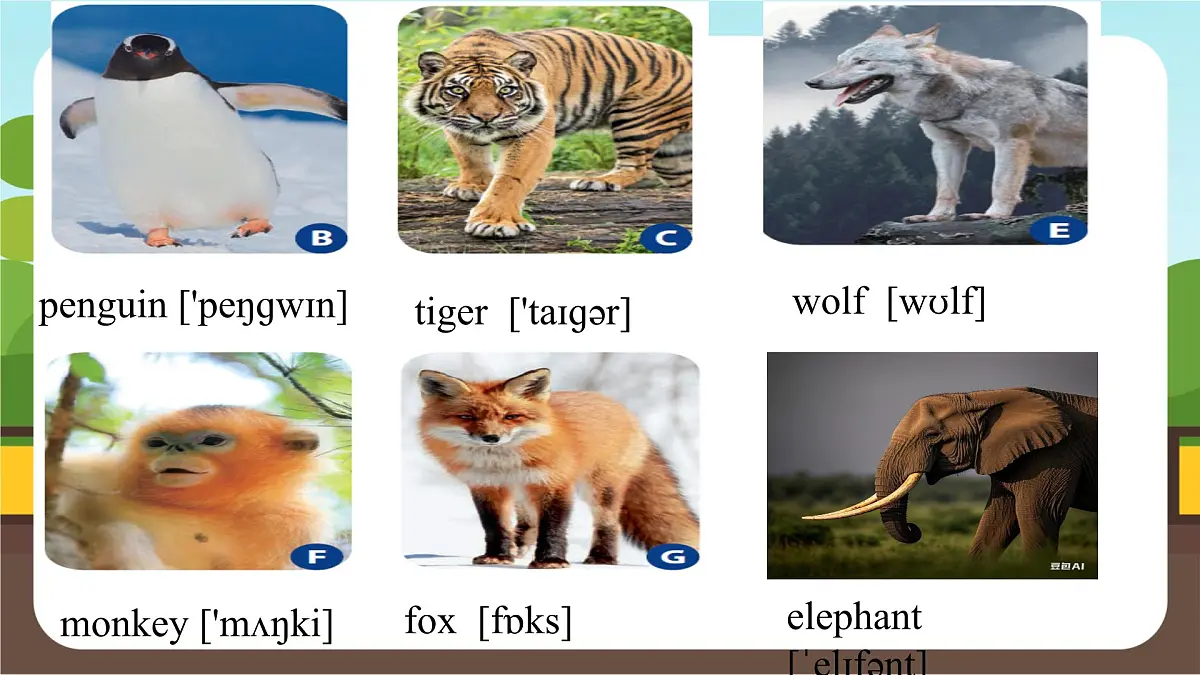 Unit 1 Section A（1a-1d）（ 课件）2024-2025学年人教版（2024）七年级英语下册第8页